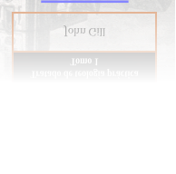 John Gill Tratado de teología práctica Tomo 1